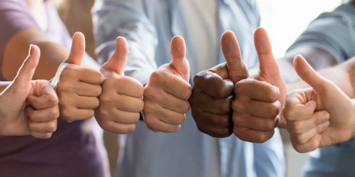 hướng dẫn lựa chọn và mua hàng