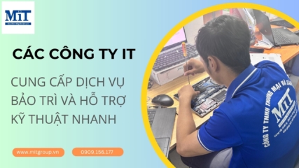 Cac cong ty it