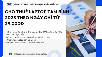 Cho thuê laptop tam bình (1)