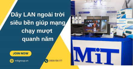 Dây lan ngoài trời
