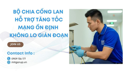Bộ chia cổng lan (2)